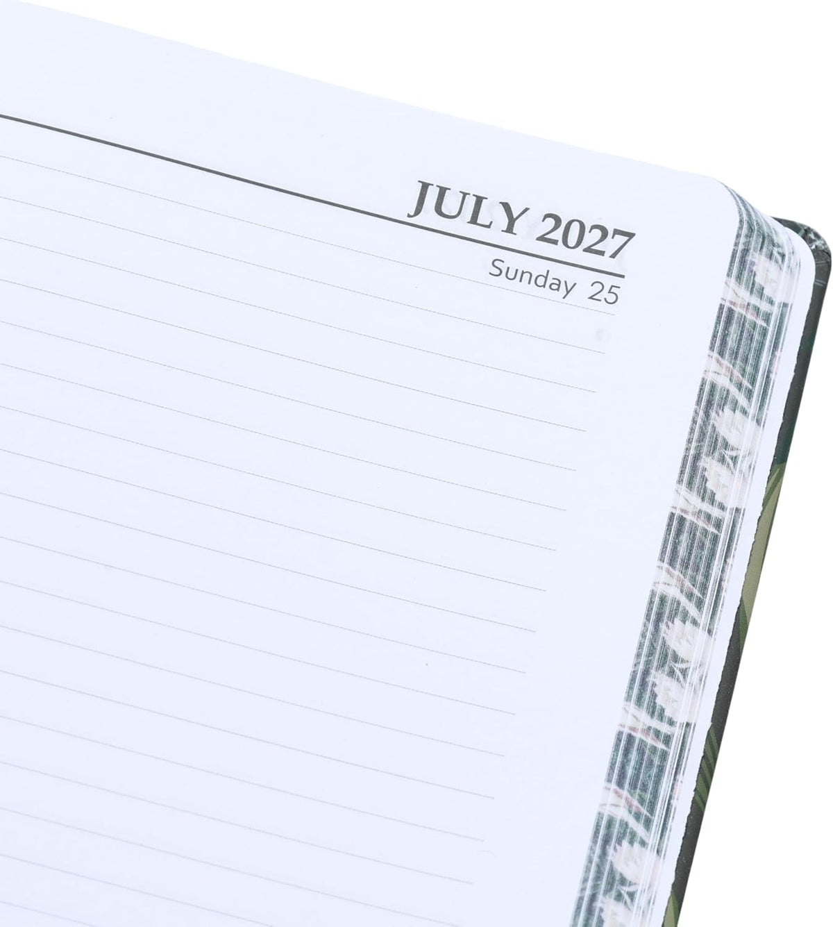 Bird Day-a-Page Diary 2027